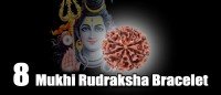 Eight mukhi rudraksha bracelet